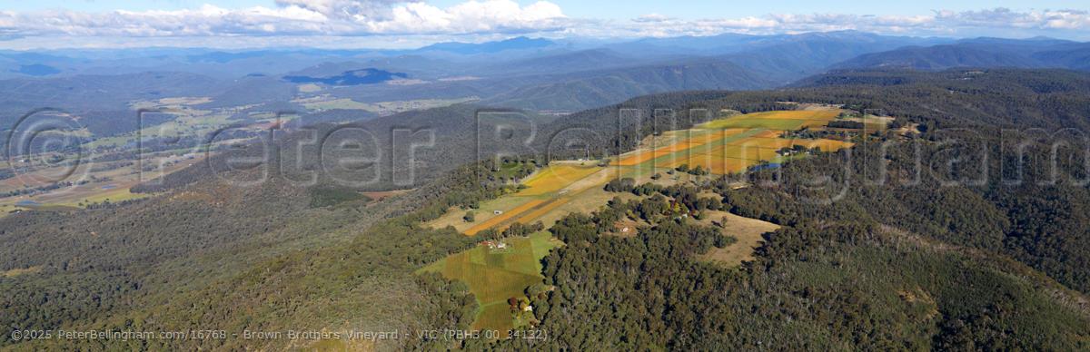Peter Bellingham Photography Brown Brothers Vineyard - VIC (PBH3 00 34132)